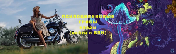 дживик Наволоки
