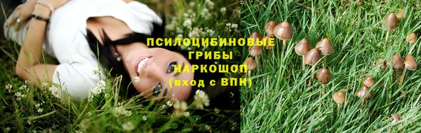 гидра Надым