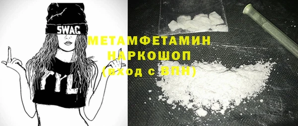 гидра Надым
