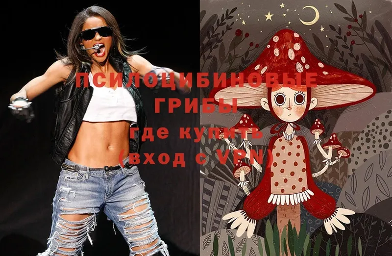 Псилоцибиновые грибы Magic Shrooms  маркетплейс как зайти  Княгинино 