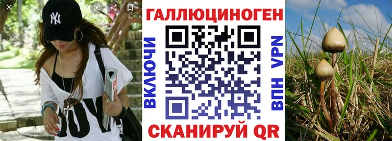 Псилоцибиновые грибы ЛСД купить omg сайт Княгинино
